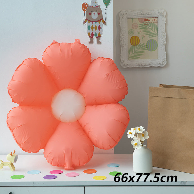 Pink daisy Flower