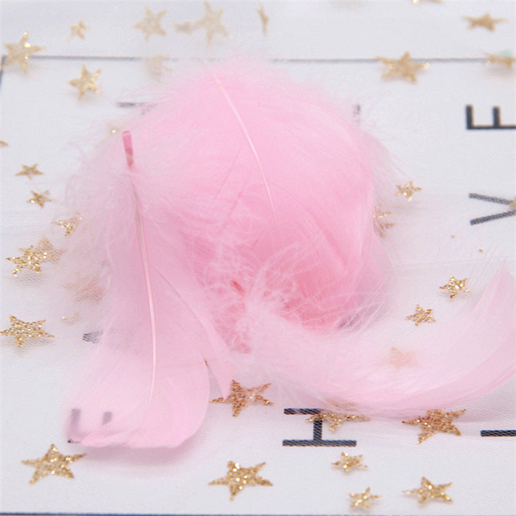 Light Pink Feather 20 Pcs